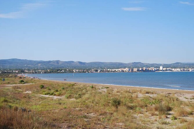 Guided tour of the Ebro Delta (North Delta) - Weather Considerations and Cancellation Policy