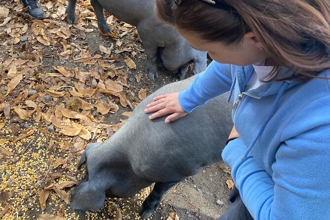 Guided Tour of the Genal Valley - Explore the Heart of Andalucia with the Guided Tour of the Genal Valley