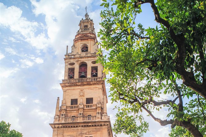 Guided tour of the Mosque with entrance included - Enhancing the Visit with Expert Guidance