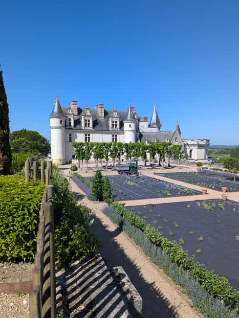 Guided tour of the royal château of Amboise - Who Will Enjoy This Tour Most