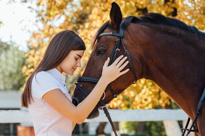 Guided tour of the stables of El Ranchito in Malaga - Key Points