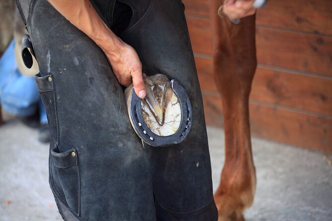 Guided tour of the stables of El Ranchito in Malaga - Meeting Point and Logistics