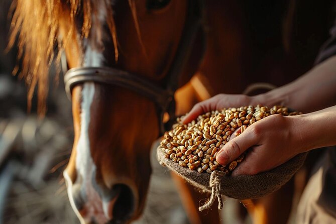 Guided tour of the stables of El Ranchito in Malaga - Tour Value and Limitations