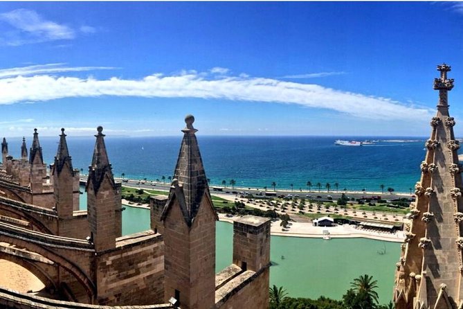 Guided Tour: Palma Old town and Cathedral Visit - Value for Money and Booking Tips
