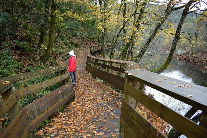 Guided Tour Passadiços do Paiva and Suspension Bridge 516 Arouca - What Sets This Tour Apart from Others