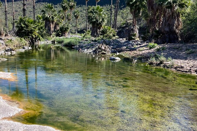 Guided Tour San Javier Mission - Cultural Insights from the Tour Guide