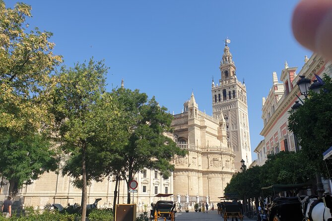 Guided Tour Sevilla Cathedral - Logistics: Meeting, Duration, and Group Experience