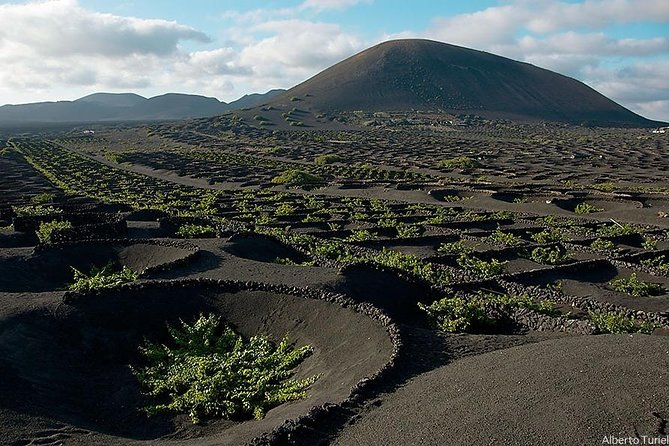 Guided tour: Timanfaya National Park and La Geria with pick-up - Exciting Highlights of the Timanfaya and La Geria Tour in Lanzarote