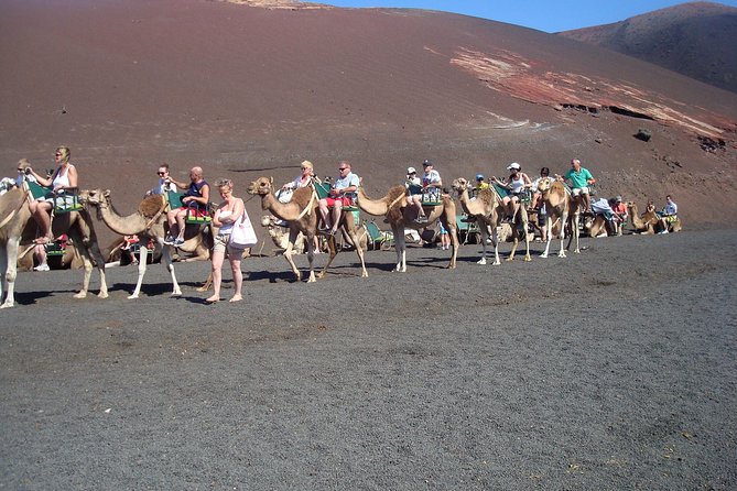 Guided tour: Timanfaya National Park and La Geria with pick-up - Key Points