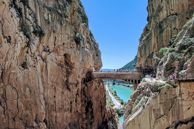 Guided Tour to Caminito del Rey from Malaga - Pacing, Accessibility, and Physical Requirements