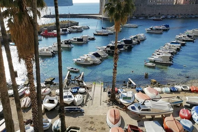 Guided Tour to discover Dubrovnik's Old Town, by day or night - Discover the Best of Dubrovnik’s Old Town in One Hour