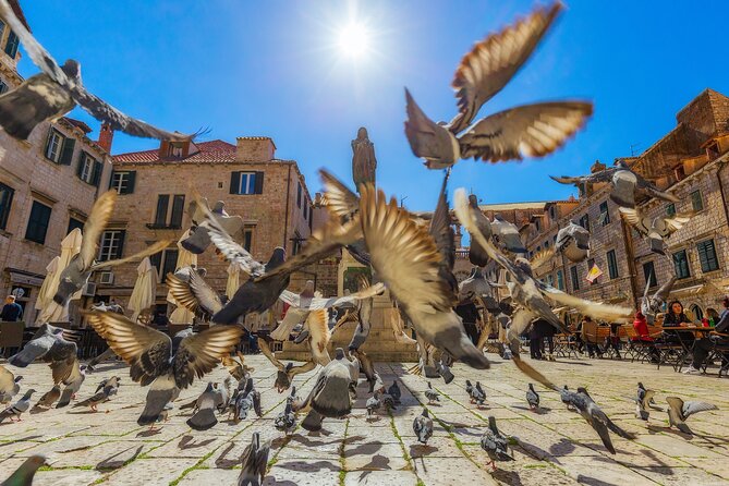 Guided Tour to discover Dubrovnik's Old Town, by day or night - Visit Dubrovnik Filming Locations from the Game of Thrones Series