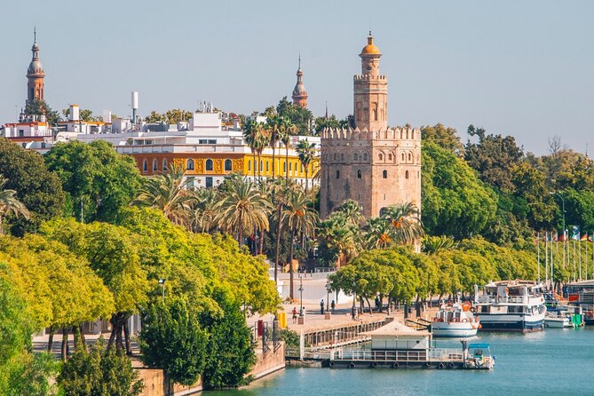 Guided tour to Seville from the Costa del Sol - Discovering the Santa Cruz Neighborhood