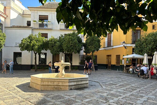 Guided tour to Seville from the Costa del Sol - Practical Details and Booking Considerations