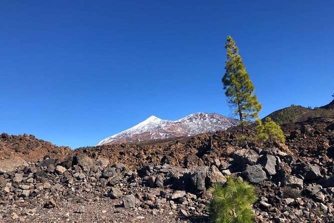 Guided Tour to Teide National Park in Tenerife - Key Points