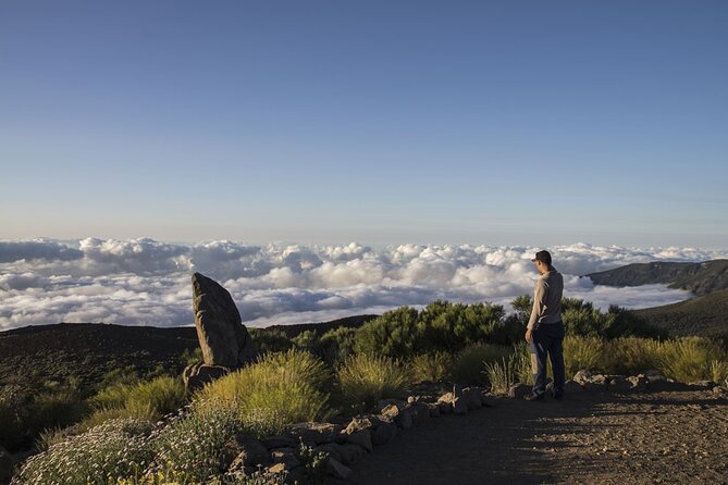 Guided Tour to Teide National Park in Tenerife - Scenic Drive Through Teide’s Volcanic Heartland
