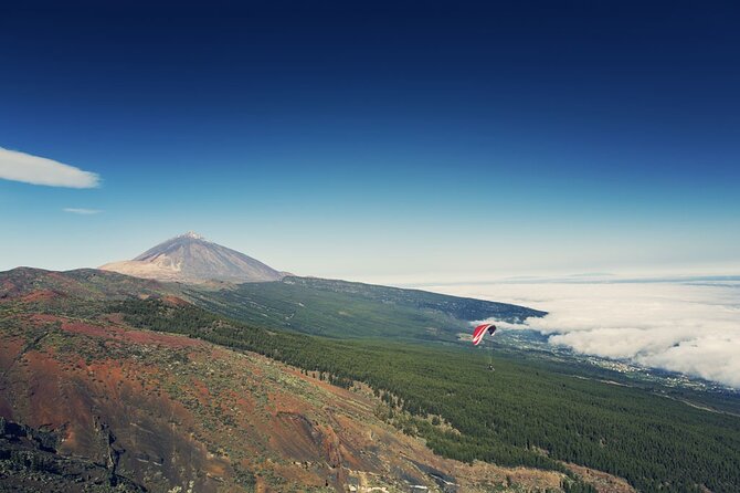 Guided Tour to Teide National Park in Tenerife - Exploring the Unique Landscape of Las Cañadas