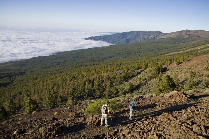 Guided Tour to Teide National Park in Tenerife - Who Should Consider This Tour?