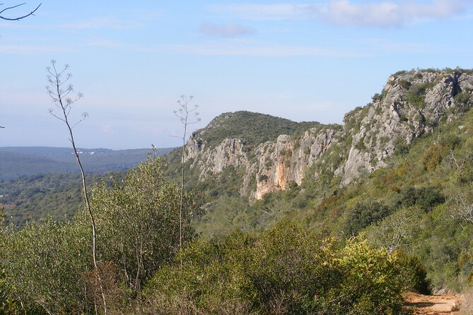 Guided Tour to the Geological Monument of Rocha da Pena - Wildlife and Botanical Variety