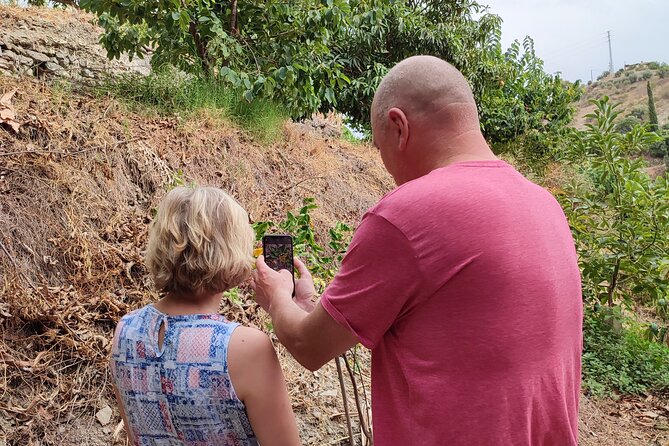 Guided Tour to the only coffee farm in Europe - The Variety of Exotic Fruits Grown on Site