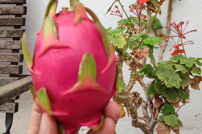 Guided Tour to the only coffee farm in Europe - The Guide: Manuel’s Passion and Multilingual Skills