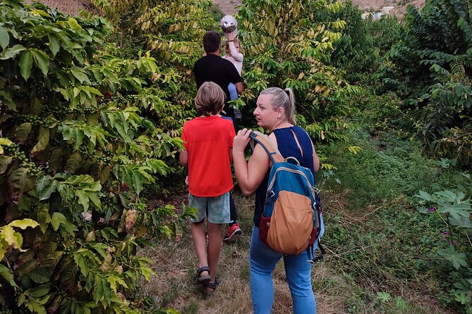 Guided Tour to the only coffee farm in Europe - Practical Details: Meeting Point and Access