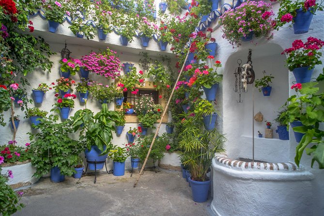 Guided Tour to the Popular Patios of Cordoba - The Origins of Cordoba’s Patios and Their Cultural Significance