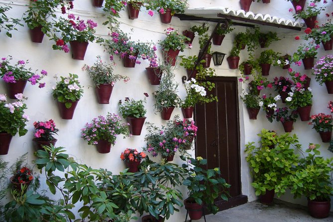 Guided Tour to the Popular Patios of Cordoba - Seasonality and Timing Tips for the Patios Tour
