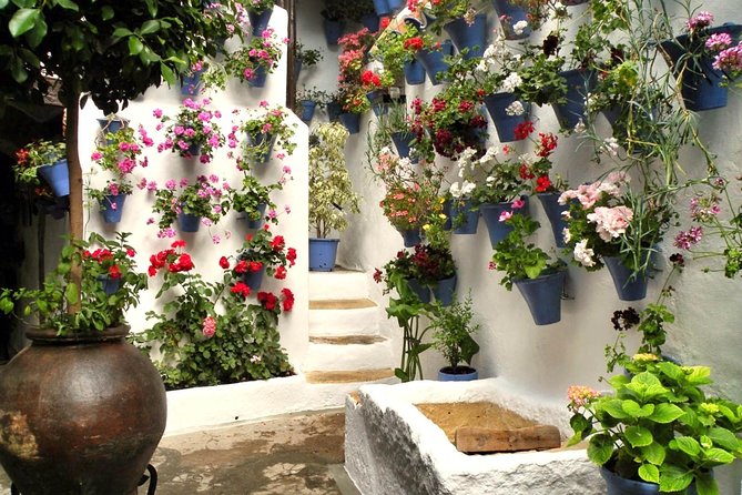 Guided Tour to the Popular Patios of Cordoba - What is Included and What to Expect