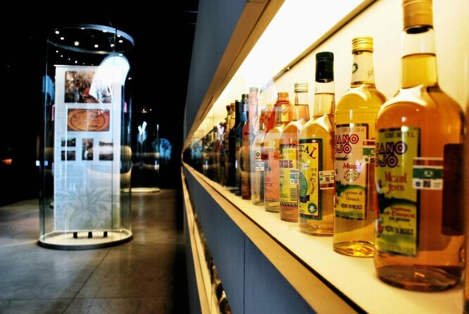 Guided Tour to the Tequila and Mezcal Museum - Explore the Best of Mexico City’s Tequila and Mezcal Heritage
