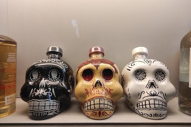 Guided Tour to the Tequila and Mezcal Museum - Who Will Love This Tour