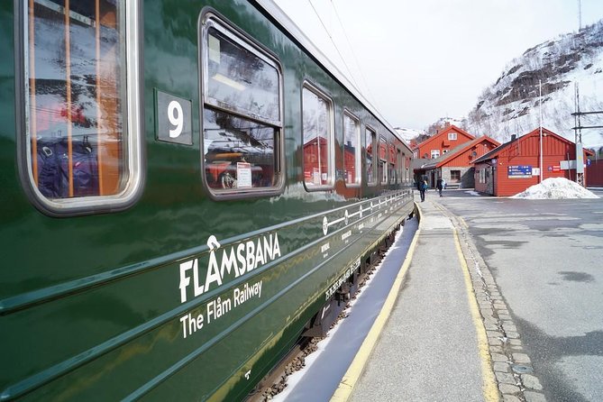 Guided tour - Viking Village, Nærøyfjord Cruise and Flåm Railway - The Bergen Railway and the Scenic Return