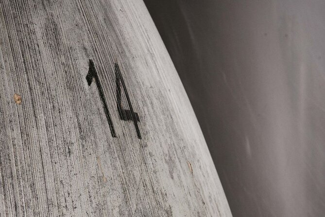 Guided Tour with 6 Wine Tasting - An Authentic Tenerife Wine Experience at Bodegas Viñátigo