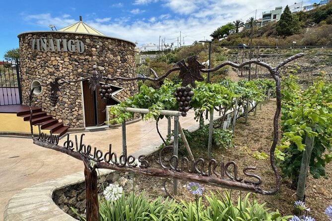 Guided Tour with 6 Wine Tasting - The Unique Architecture and Landscape of Bodegas Viñátigo