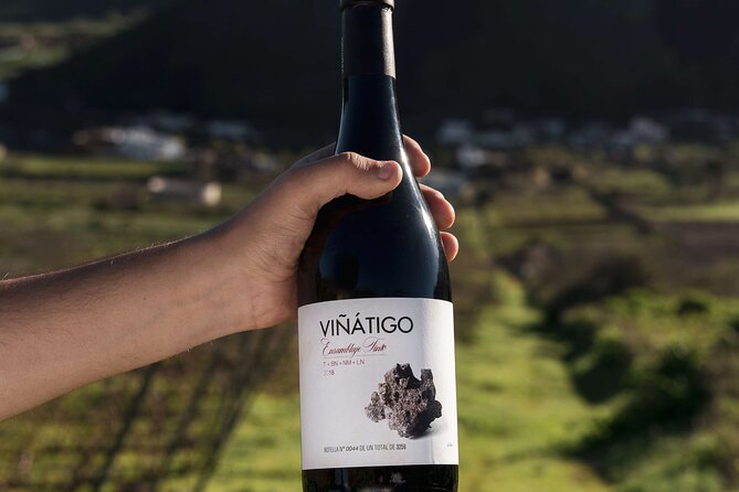 Guided Tour with 6 Wine Tasting - Inside the Winery: Architectural Marvel and Production Techniques