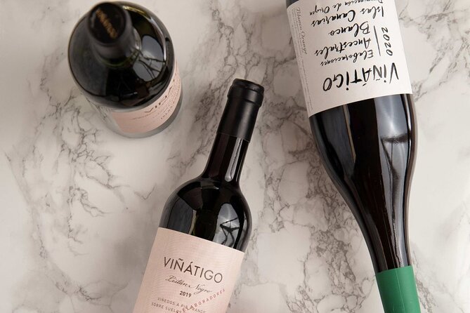 Guided Tour with 6 Wine Tasting - Who Will Enjoy This Tour and Its Limitations