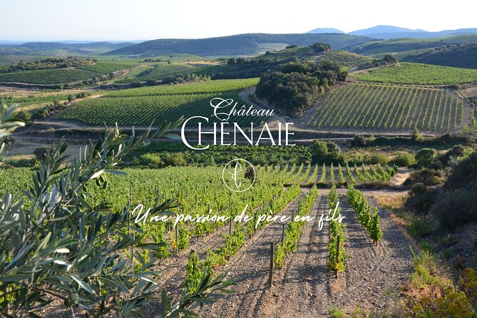 Guided tour with a winemaker: From the vine to the glass... - An Insightful Winery Tour Led by a Passionate Winemaker in France