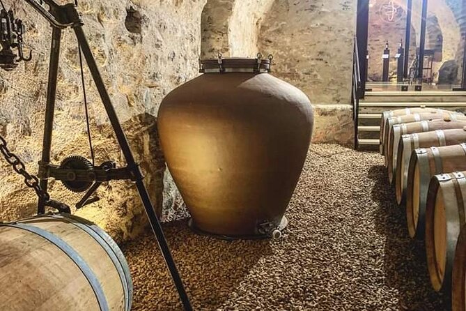 Guided tour with a winemaker: From the vine to the glass... - Discovering Château Chênaie’s Old Cellars and Tasting Wines