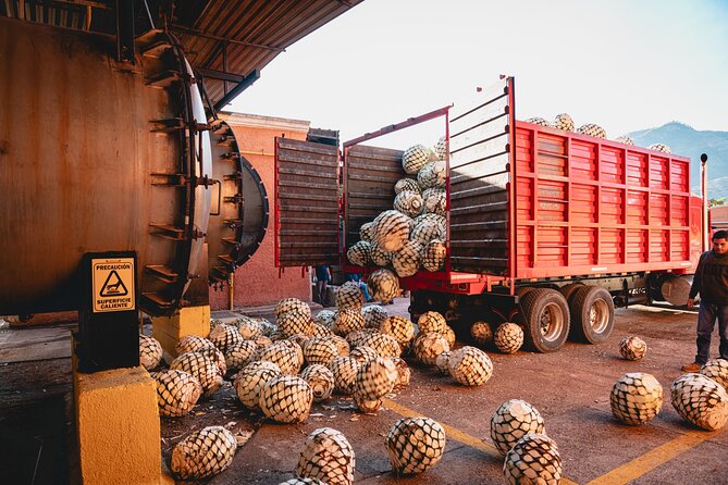 Guided Tour with Tasting in Tequilera Hacienda de Oro - Practical Details and Booking Information