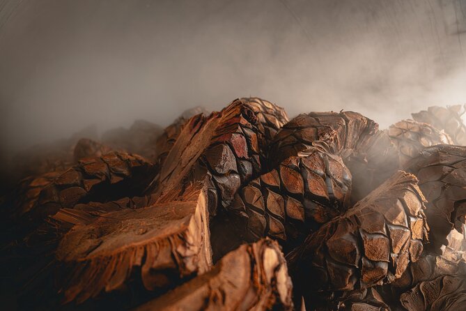 Guided Tour with Tasting in Tequilera Hacienda de Oro - Why This Tour Stands Out