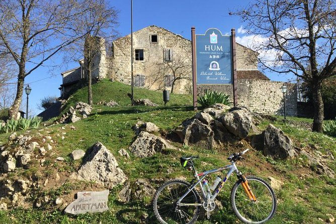 Guided Truffle Hunt Istria - The Unique Setting of Istrian Forests for Truffle Hunting