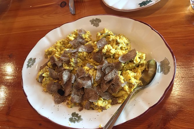 Guided Truffle Hunt Istria - The Guide and Overall Experience