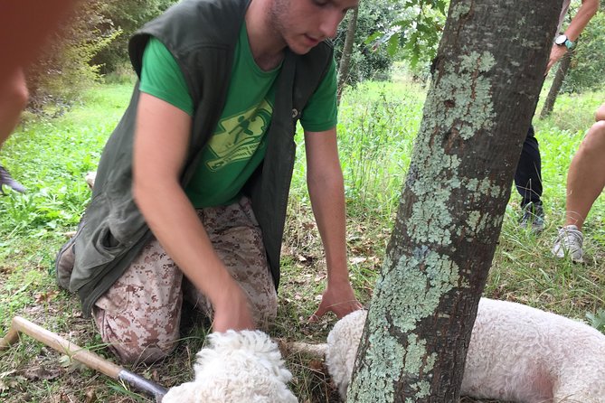 Guided Truffle Hunt Istria - Flexibility and Cancellation Policy