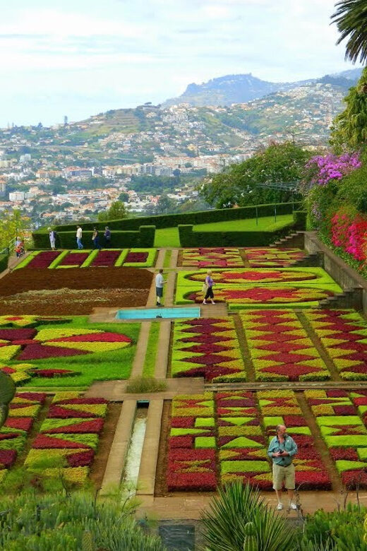 Guided Tuk-Tuk Tour to Botanical Garden (From Funchal) - Experience a Scenic Tuk-Tuk Ride to Madeira’s Botanical Garden
