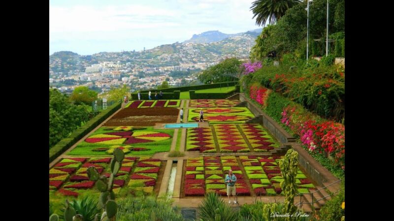 Guided Tuk-Tuk Tour to Botanical Garden (From Funchal) - Riding Through Funchal’s Rugged Landscapes
