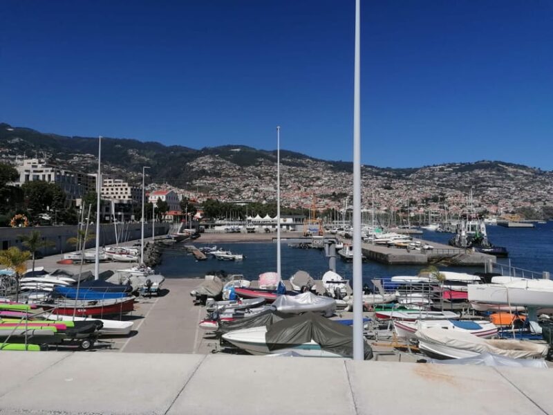 Guided Tuk-Tuk Tour to Botanical Garden (From Funchal) - The Marvel of the Madeira Botanical Garden
