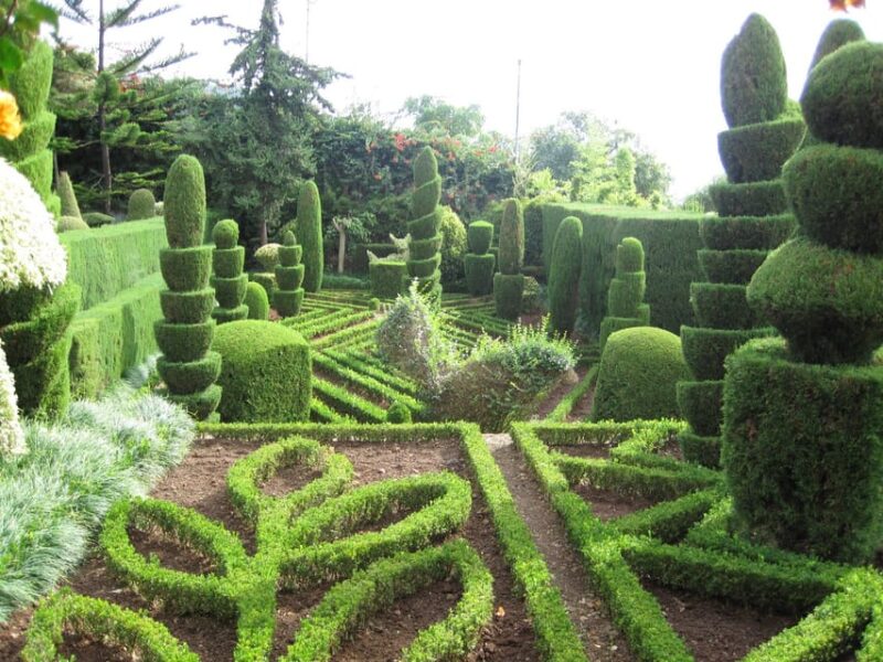 Guided Tuk-Tuk Tour to Botanical Garden (From Funchal) - Views of Funchal’s Bay from the Botanical Garden