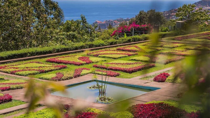 Guided Tuk-Tuk Tour to Botanical Garden (From Funchal) - Practical Details: What’s Included and What’s Not
