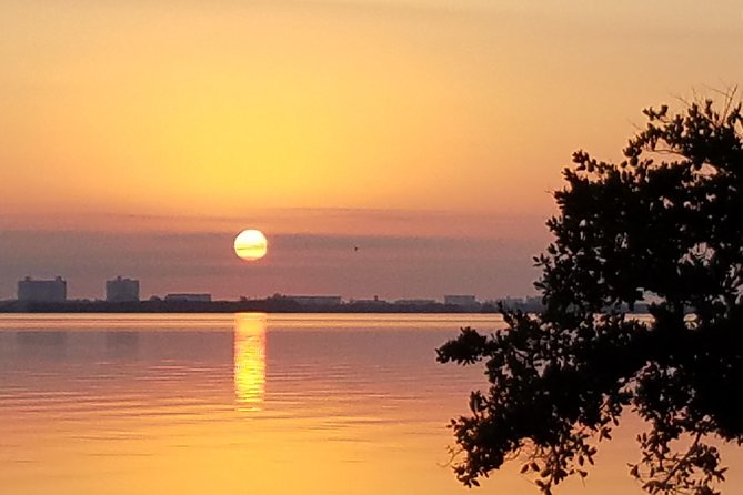 Guided Two Hour Boat Tour of the Indian River Lagoon - Scenic Route Through Cocoa Beachs Wildlife Refuges