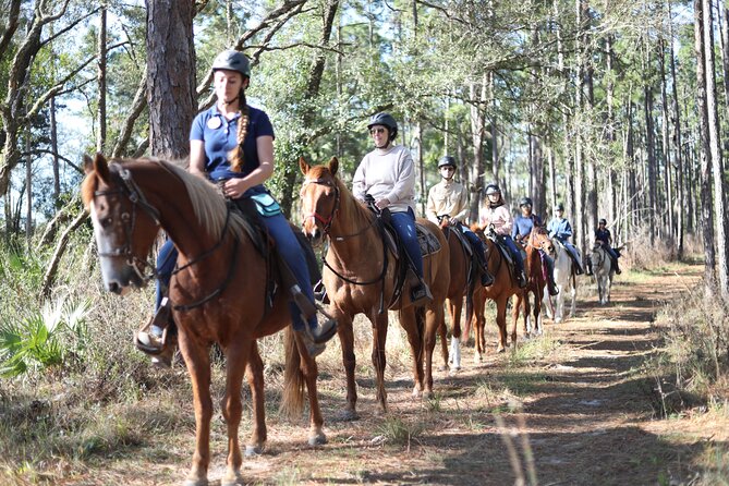 Guided Two Hour Horseback Trail Ride in Central Florida - Key Points